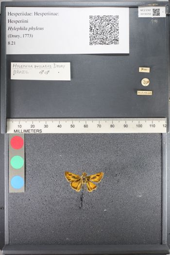 Media type: image;   Entomology 135753